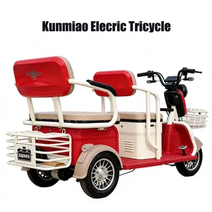 Heavy Cargo Transparent Tricycle Electric Trike Electric Cargo Tricycle - detail 13