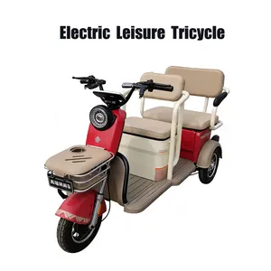 Heavy Cargo Transparent Tricycle Electric Trike Electric Cargo Tricycle - detail 14