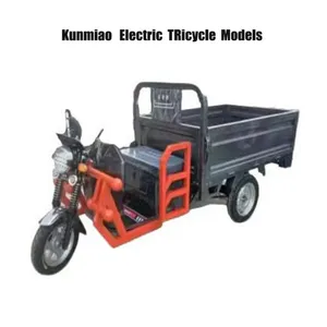 Heavy Cargo Transparent Tricycle Electric Trike Electric Cargo Tricycle - detail 15