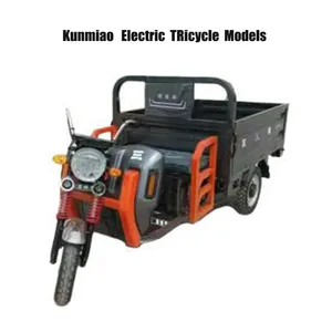 Heavy Cargo Transparent Tricycle Electric Trike Electric Cargo Tricycle - detail 20