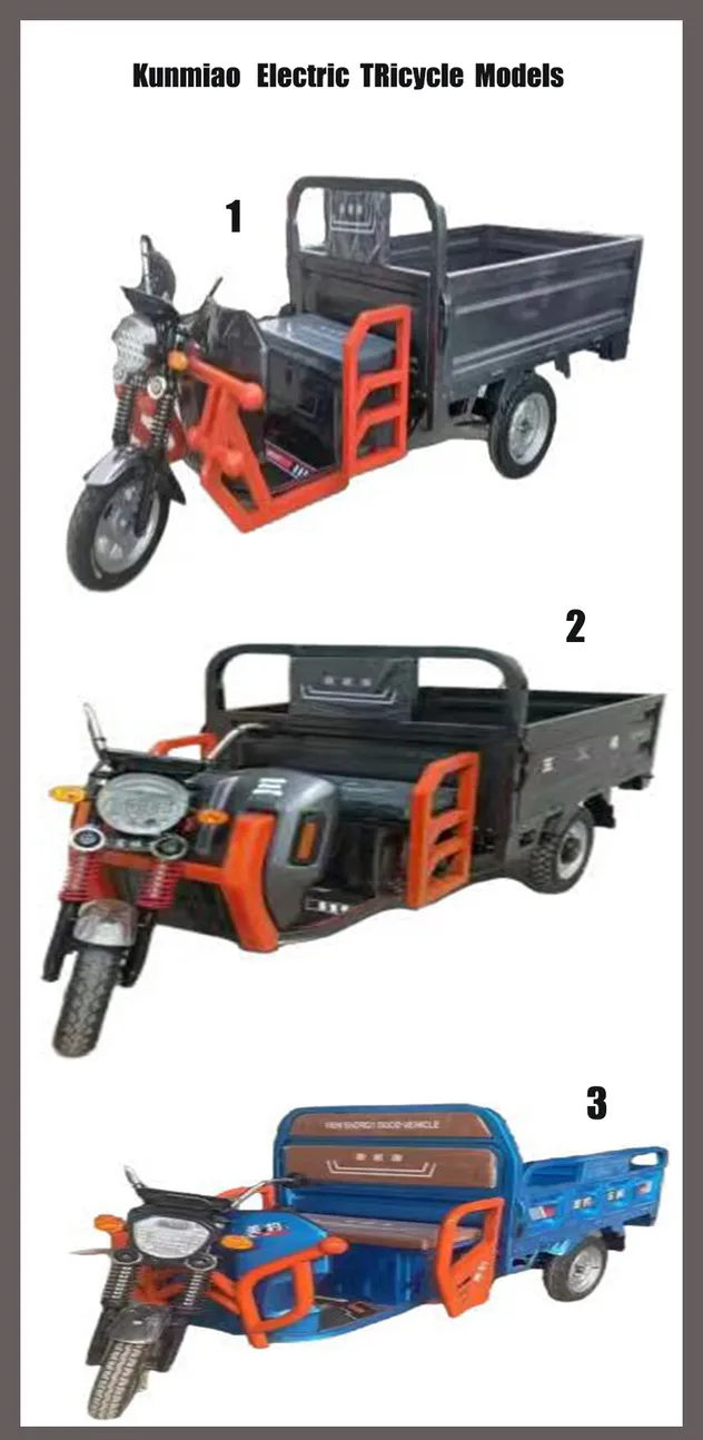 Heavy Cargo Transparent Tricycle Electric Trike Electric Cargo Tricycle - detail 5