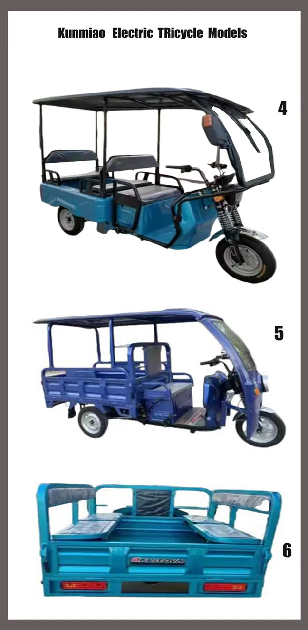 Heavy Cargo Transparent Tricycle Electric Trike Electric Cargo Tricycle - detail 6