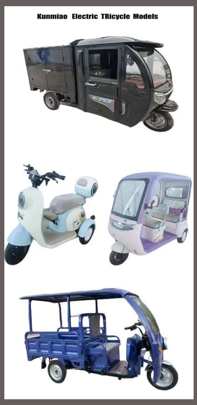 Heavy Cargo Transparent Tricycle Electric Trike Electric Cargo Tricycle - detail 7
