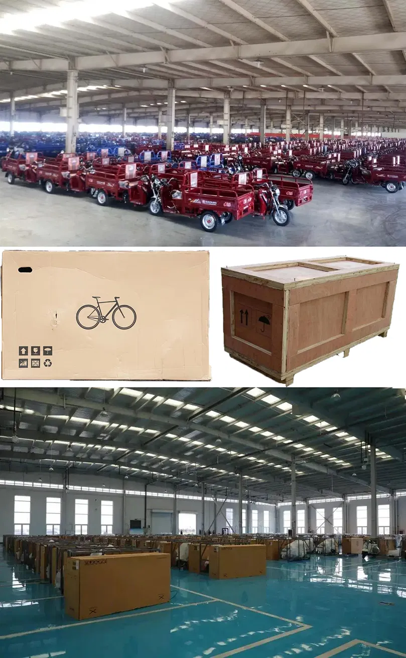Electric for Tricycles with a Freezer Box 4 Wheels Passengers Cargo Sale in Philippines Heavy Minin Transportation 60V Tricycle - detail 20