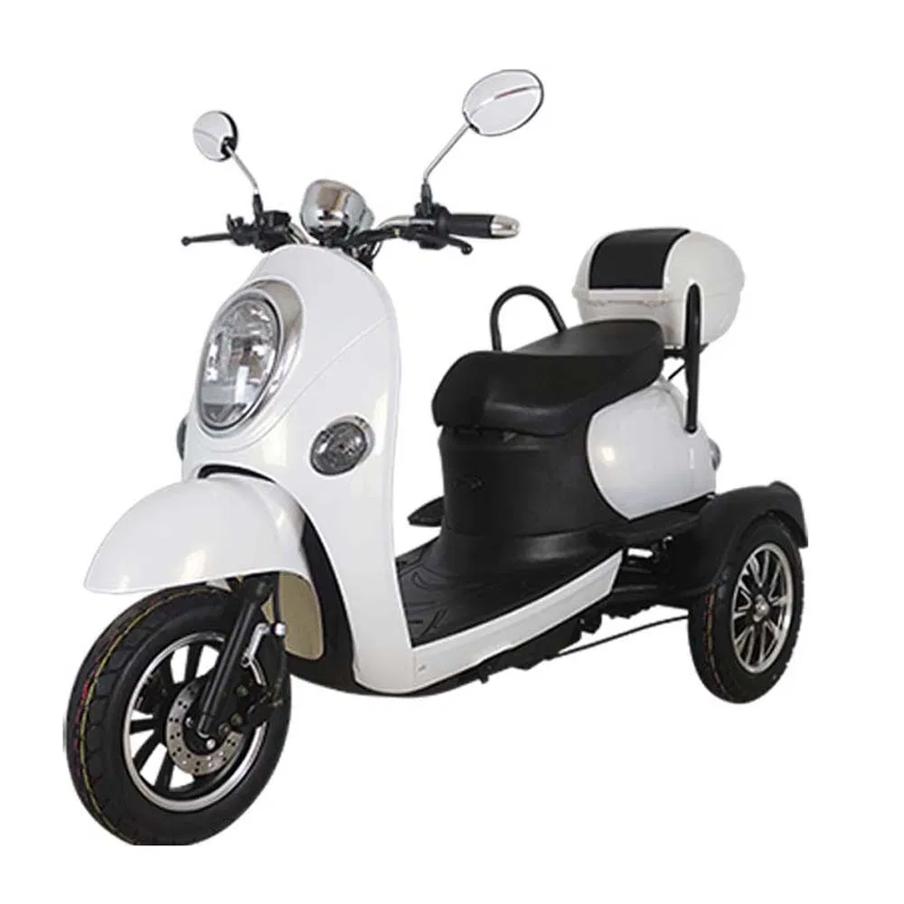 Tuk Differential Triciclo Electrico Truck Automatic Cart Motorized Tricycles Pedal Cargo Adult Electry Electric Tricycle - detail 12
