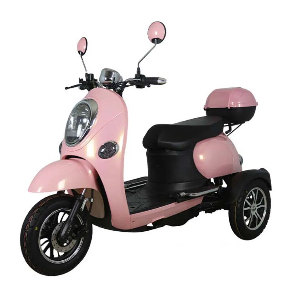 Tuk Differential Triciclo Electrico Truck Automatic Cart Motorized Tricycles Pedal Cargo Adult Electry Electric Tricycle - detail 10