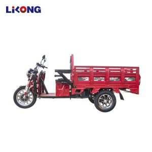 L-C01 E-Bike Electric Trike 3-Wheel New Style Electric Tricycle for Cargo