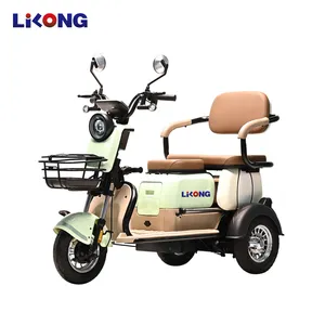 L-C01 E-Bike Electric Trike 3-Wheel New Style Electric Tricycle for Cargo - detail 18