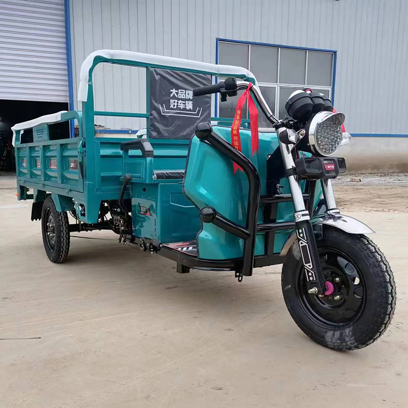 Cheap E-Trikes 3 Wheel Cargo Electric Tricycles Motorcycle Three Wheel Adultelectric Tricycle - Image 6