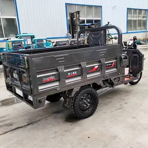 Cheap E-Trikes 3 Wheel Cargo Electric Tricycles Motorcycle Three Wheel Adultelectric Tricycle - detail 11