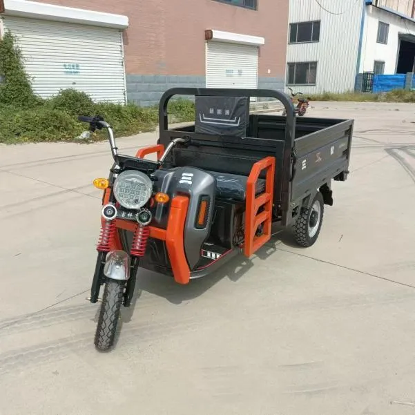 Cheap E-Trikes 3 Wheel Cargo Electric Tricycles Motorcycle Three Wheel Adultelectric Tricycle - detail 6