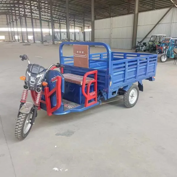 Cheap E-Trikes 3 Wheel Cargo Electric Tricycles Motorcycle Three Wheel Adultelectric Tricycle - detail 7
