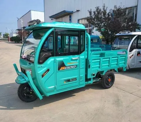 Cheap E-Trikes 3 Wheel Cargo Electric Tricycles Motorcycle Three Wheel Adultelectric Tricycle - detail 8