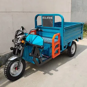 Cheap E-Trikes 3 Wheel Cargo Electric Tricycles Motorcycle Three Wheel Adultelectric Tricycle - detail 10