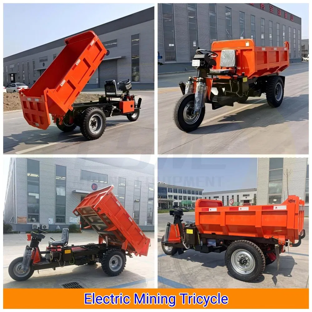 Rock-Bottom Prices on Electric Tricycle 3 Wheel Cargo Trike for Mining - detail 1