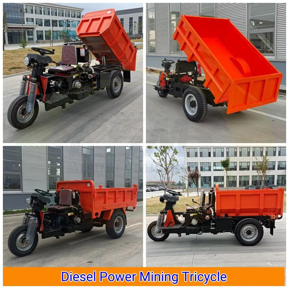 Rock-Bottom Prices on Electric Tricycle 3 Wheel Cargo Trike for Mining - detail 3
