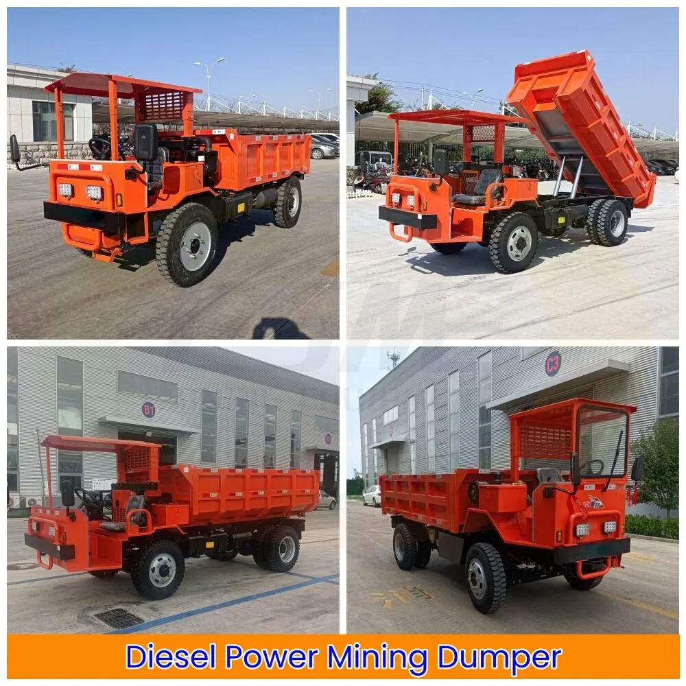 Rock-Bottom Prices on Electric Tricycle 3 Wheel Cargo Trike for Mining - detail 5
