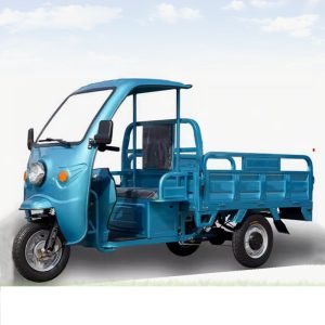 Electric Cargo Tricycle with Covered Enclosed Dump Body 3 Wheeler