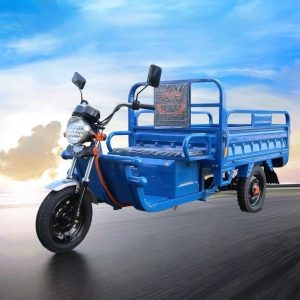 Factory Direct Sales Affordable Newest Cheap 3 Wheel Cargo Electric Tricycle for Adult Wholesale Cheapest Price