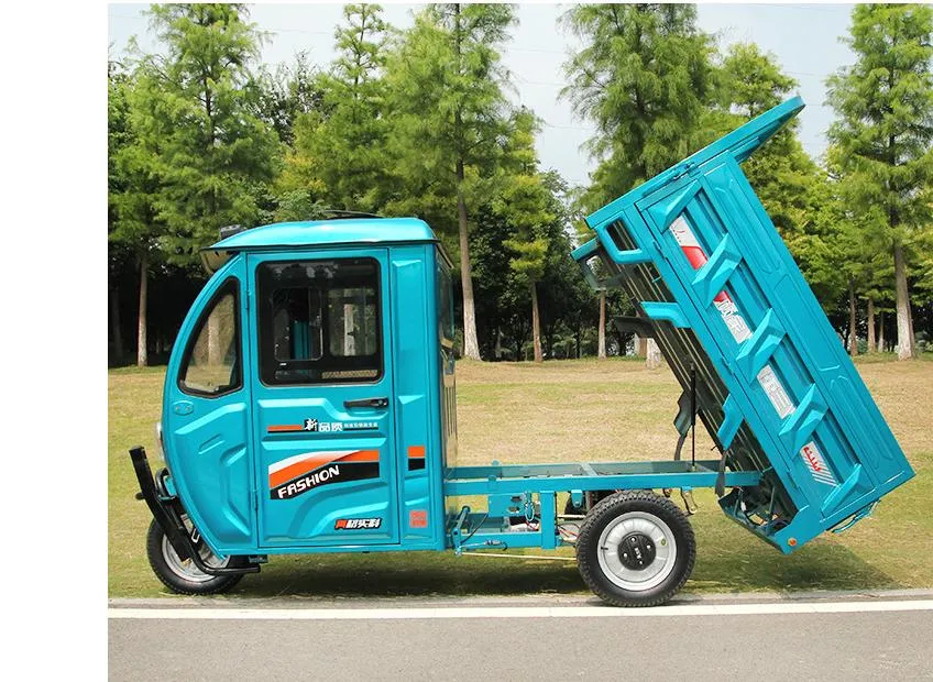 Factory Direct Sales Affordable Newest Cheap 3 Wheel Cargo Electric Tricycle for Adult Wholesale Cheapest Price - detail 4