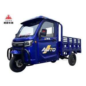 1.6 M Electric Cargo Tricycle 3 Wheel Electric Tricycle Heavy Duty Manufacturer - detail 18
