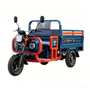Agricultural Electric Tricycle Open Body 1.5m Cargo Box 800W - detail 11