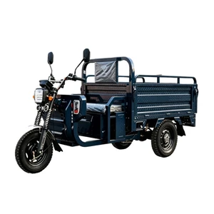 Agricultural Electric Tricycle Open Body 1.5m Cargo Box 800W - detail 12