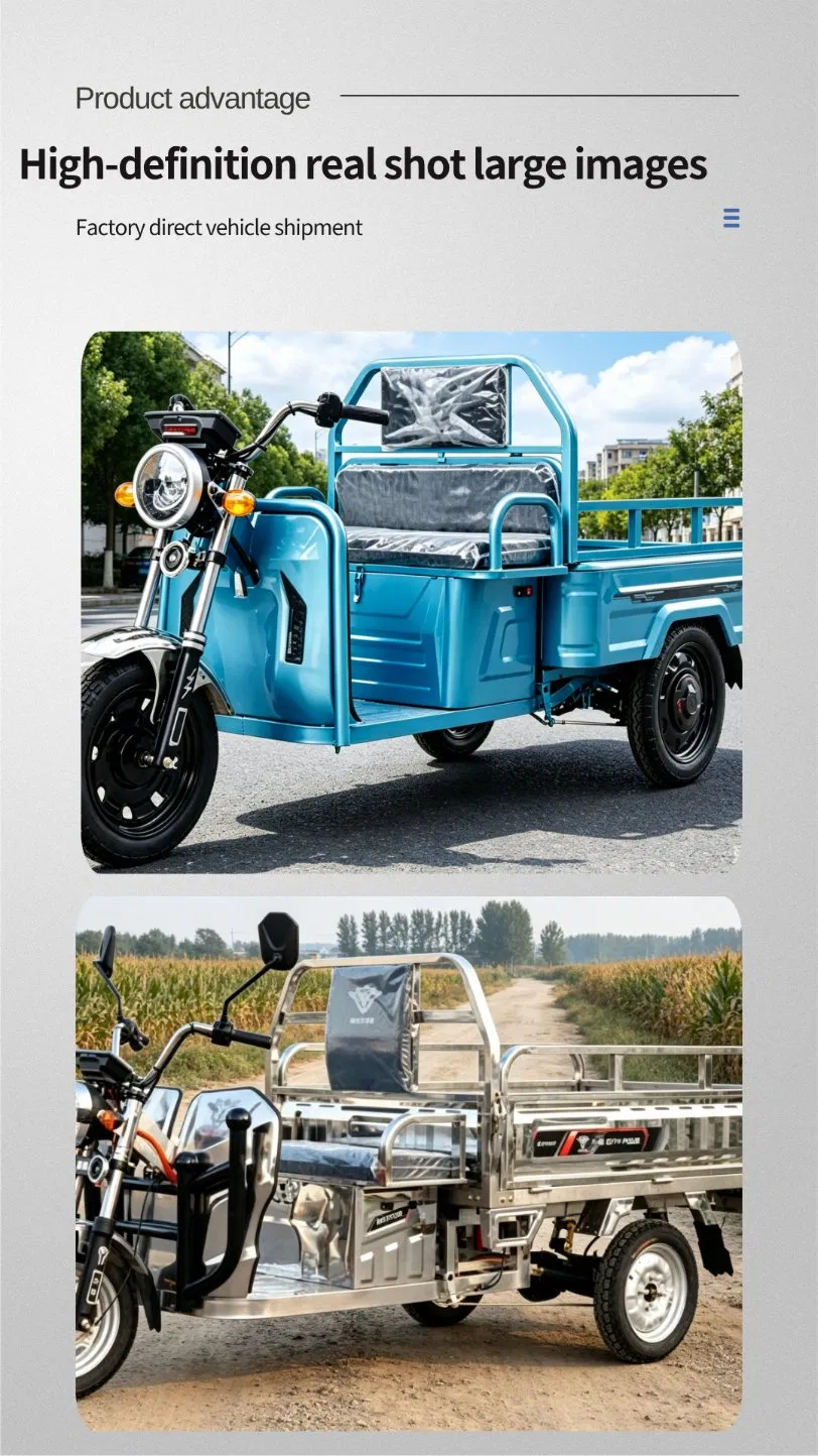 Agricultural Electric Tricycle Open Body 1.5m Cargo Box 800W - detail 5