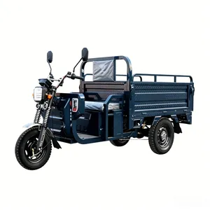 Agricultural Electric Tricycle Open Body 1.5m Cargo Box 800W - detail 8