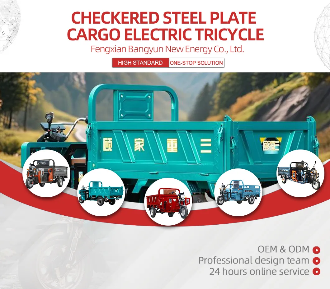 Smart Control Heavy Loading Checkered Steel Plate Steel Platform Electric Cargo Tricycle for Landscape Maintenance - detail 1
