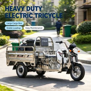 Thick Steel Plate Electric Tricycle for High-Weight Farm Cargo Loading