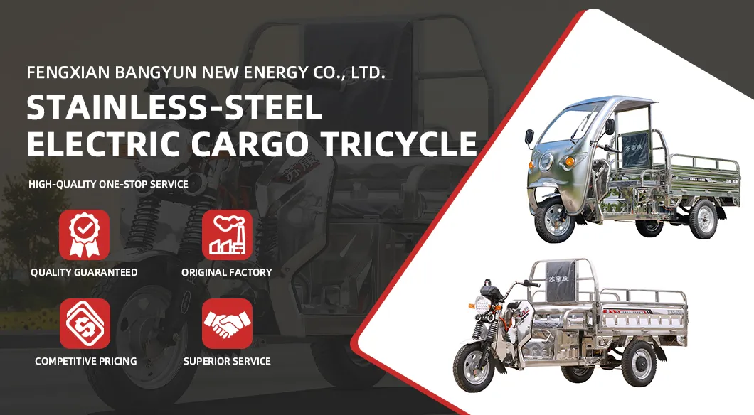 Thick Steel Plate Electric Tricycle for High-Weight Farm Cargo Loading - detail 1