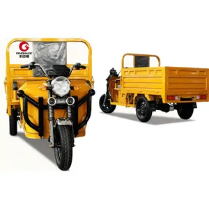 2026 Hot Selling 1000W Electric 3 Wheel Cargo Tricycle Adult - detail 19