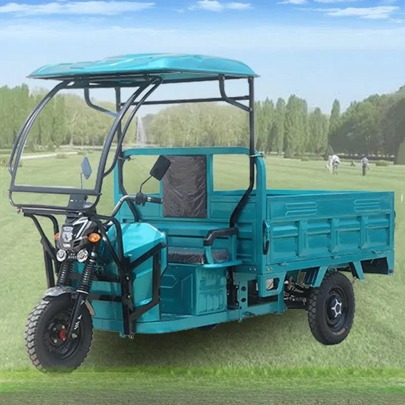 Dumptruck 70-90km 1500W Power Trike 3 Wheel Electric Cargo Tricycle Vehicle for Passenger & Agricultural Use with Dual Shock Absorption - detail 6