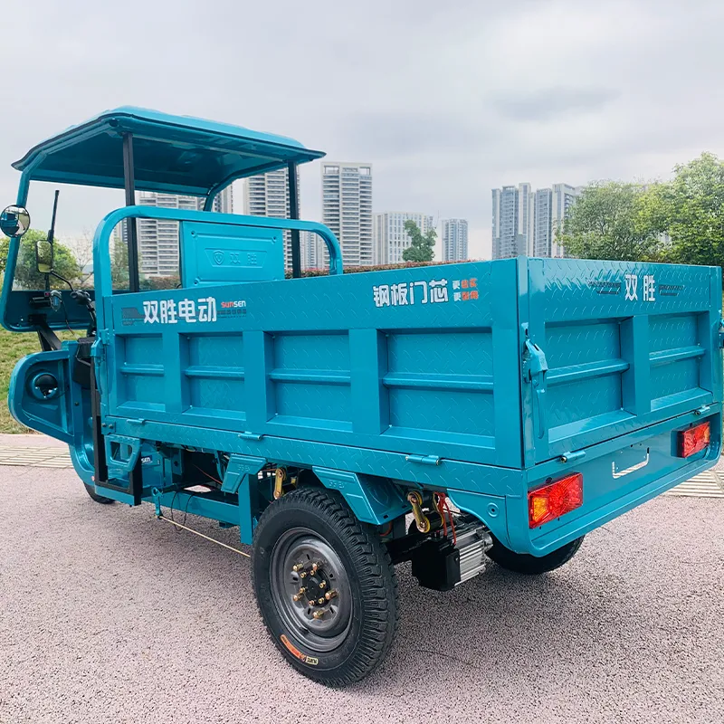 Wholesale Supplier Heavy Duty Blue Electric Tricycle 1.7m with Roof for Cargo Delivery and Passenger Use 3 Wheel - detail 3