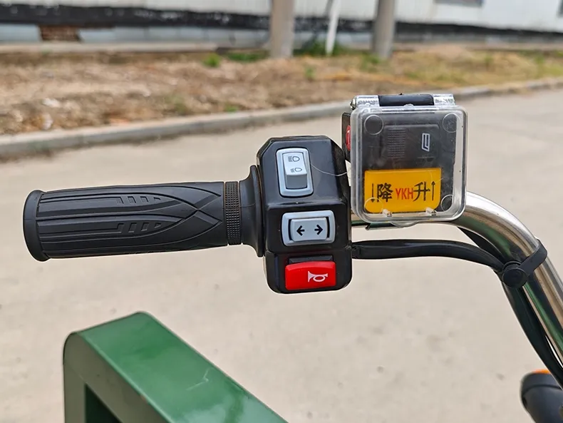 Wholesale Heavy Duty 1200W 60V 72V Open Body 160cm Cargo Box Electric Cargo Tricycle 600kg Load Shock Absorber for Farm Delivery - detail 9
