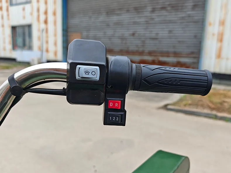 Wholesale Heavy Duty 1200W 60V 72V Open Body 160cm Cargo Box Electric Cargo Tricycle 600kg Load Shock Absorber for Farm Delivery - detail 10