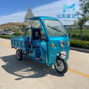 Affordable Wholesale Electric Cargo Tricycle for Adults in China