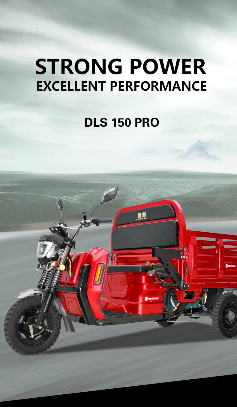 China Supplying Factory Price Heavy Duty Electric Tricycle Wholesale Electric Cargo Tricycle - detail 3