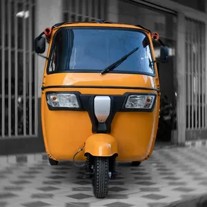 Factory-Direct CE-Certification 48V 72A Lead-Acid Lithium-Ion Battery Electric Cargo Tricycles - detail 17