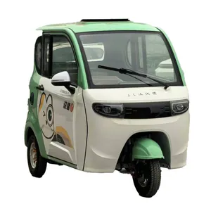 Factory-Direct CE-Certification 48V 72A Lead-Acid Lithium-Ion Battery Electric Cargo Tricycles - detail 19
