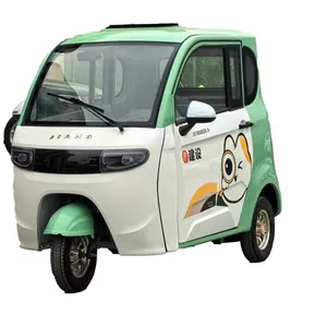 Factory-Direct CE-Certification 48V 72A Lead-Acid Lithium-Ion Battery Electric Cargo Tricycles - detail 20