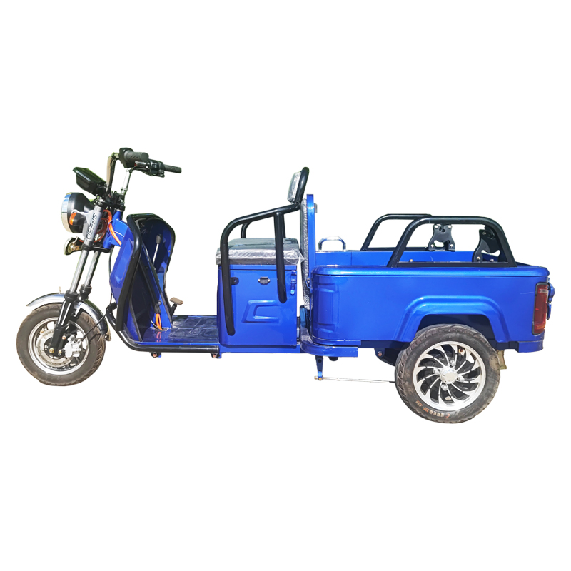Passenger/Cargo Small Leisure Electric Tricycle for Elderly Mobility Trike - Image 5