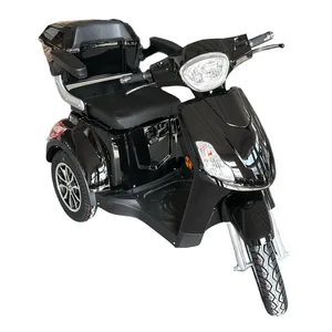Passenger/Cargo Small Leisure Electric Tricycle for Elderly Mobility Trike - detail 11