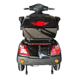Passenger/Cargo Small Leisure Electric Tricycle for Elderly Mobility Trike - detail 16