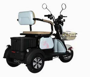 Passenger/Cargo Small Leisure Electric Tricycle for Elderly Mobility Trike - detail 18