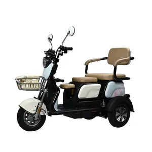 Passenger/Cargo Small Leisure Electric Tricycle for Elderly Mobility Trike - detail 19