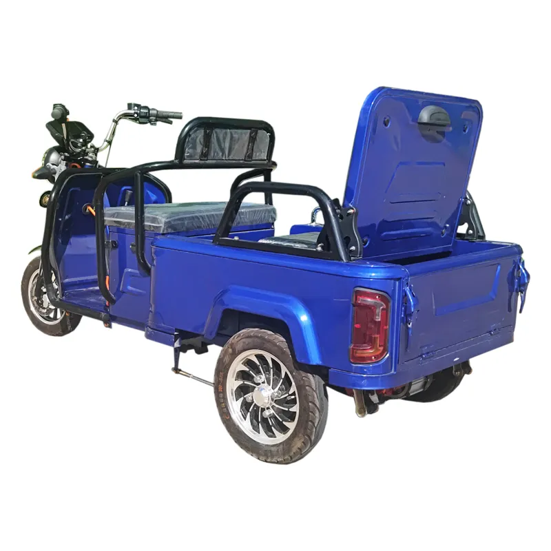 Passenger/Cargo Small Leisure Electric Tricycle for Elderly Mobility Trike - detail 4