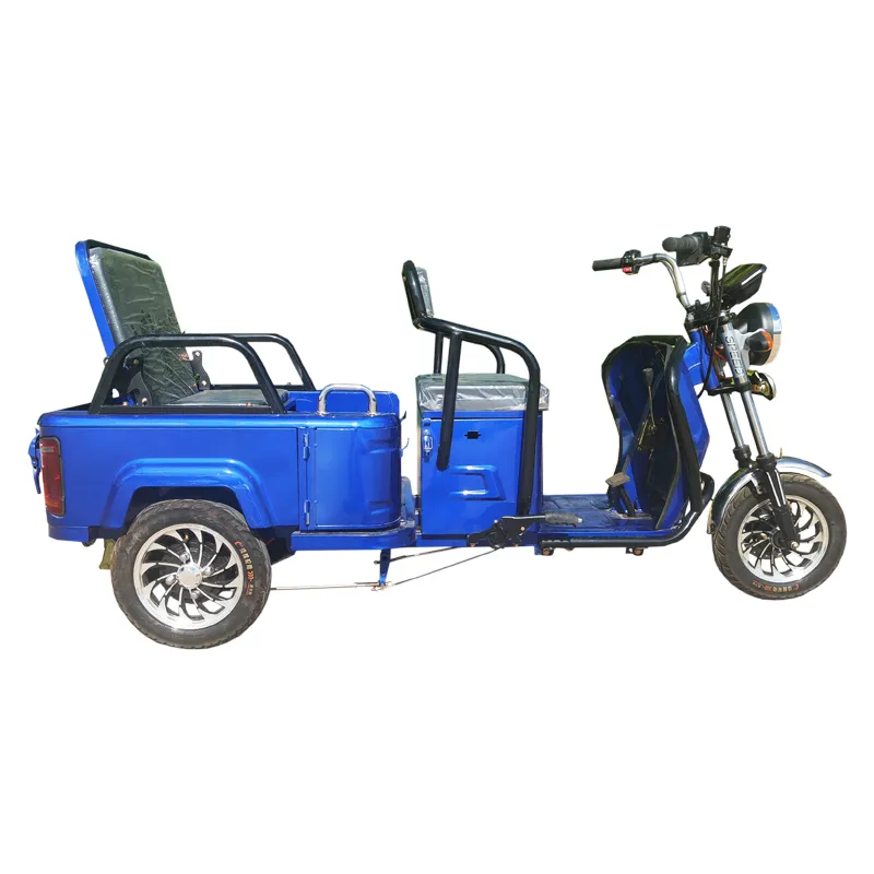 Passenger/Cargo Small Leisure Electric Tricycle for Elderly Mobility Trike - detail 7