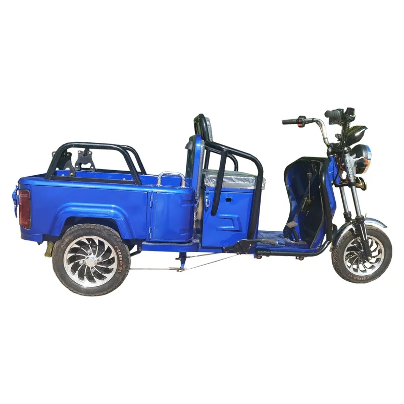 Passenger/Cargo Small Leisure Electric Tricycle for Elderly Mobility Trike - detail 8